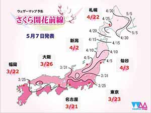 Cherry Blossom forecast in Japan for touring