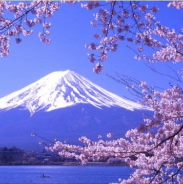 Cherry Blossom Motorcycle Tour to Mt Fuji and many other famous landmarks in Japan on rental motorcycle