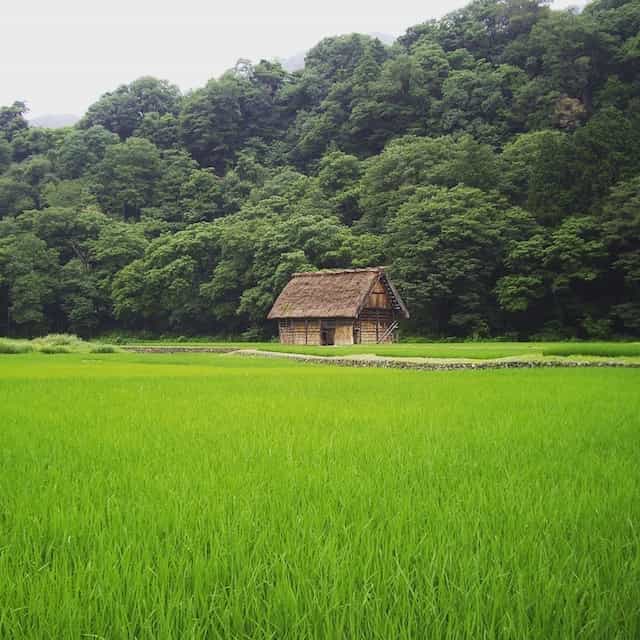 Japan motorcycle tour ninjatours Tazawa Hokkaido Hakodate Hachimantai rice paddy fields and straw roof house