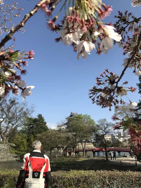 Japan Motorcycle tour ninjatours Matsumoto Arima Onsen cherry blossoms