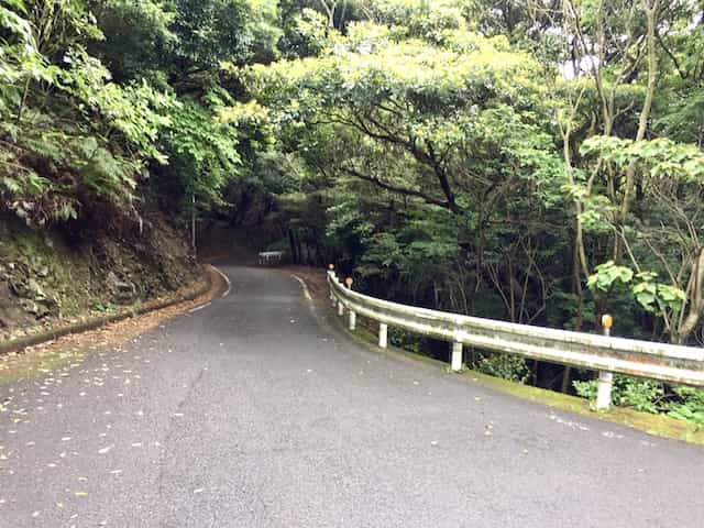 Japan motorcycle tours ninjatours kochi wakayama mysterious road