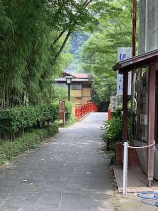 Japan Motorcycle Tours ninjatours Shuzenji tree lined sidewalk