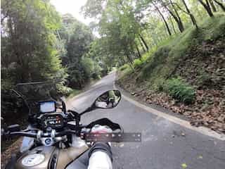 Japan Motorcycle Tours ninjatours mt fuji intense riding on narrow tree lined roads