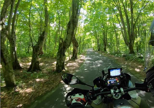 japan motorcycle tour ninjatours yunohama hachimantai forest riding