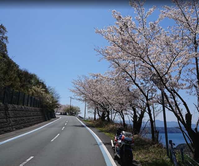 Japan motorcycle tour ninjatours dogo onsen ashizukuri cherry blossoms