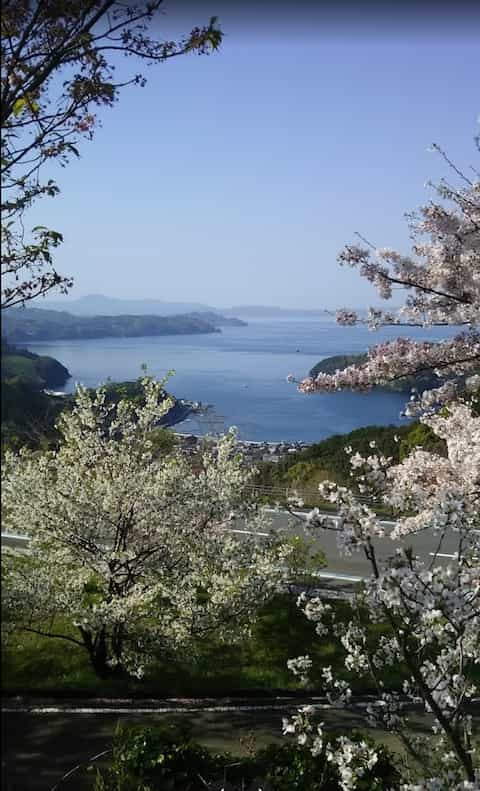 Japan motorcycle tour ninjatours dogo onsen ashizukuri ocean view
