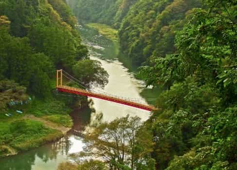 Japan Motorcycle Tours ninjatours mt fuji Tokyo Red Bridge aerial view