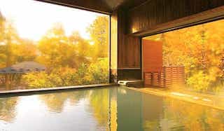 japan motorcycle tour ninjatours tokyo nikko ryokan deluxe onsen hot springs bath