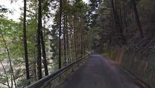 Japan motorcycle tours ninjatours nikko kusatsu narrow mountain road with trees