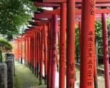 Japan motorcycle tour ninjatours Kyoto Fushimi Inari red torii gates