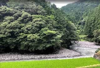 japan motorcycle tour ninjatpurs yunoyama onsen shizuoka rice fields