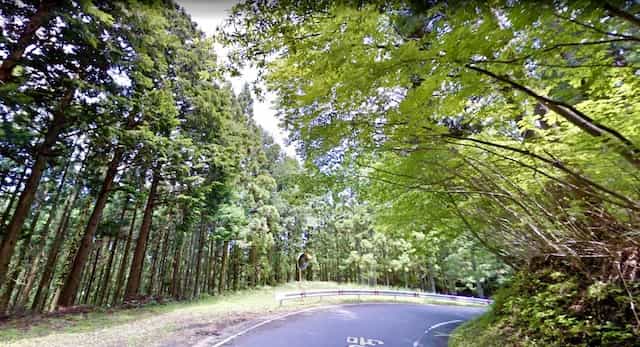 Japan motorcycle tour ninjatours twisty mountain road with trees