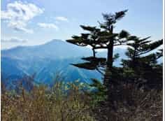 Japan motorcycle tour ninjatours kyobashira pass with mountains and trees