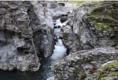 Stacks Image 1052