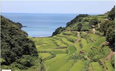 Japan motorcycle tour ninjatours karatsu terraced rice fields