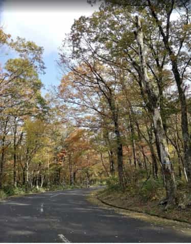 Japan motorcyle tour ninjatours tottori mountain road with trees
