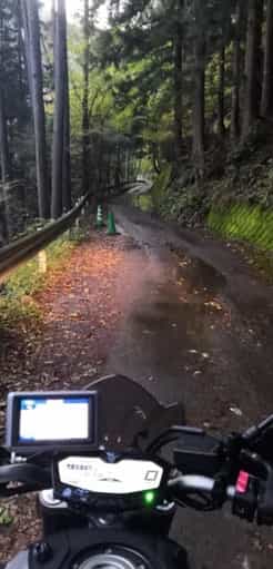 Japan motorcycle tour ninjatours tokyo kiso intense ride  tree lined scary road