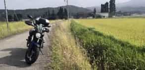Japan motorcycle tour ninjatours matsunoyama onsen inawashiro parked by tea farm