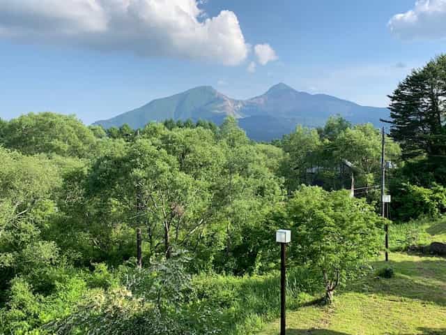 Japan motorcycle tour ninjatours Tazawa Hokkaido Hakodate mountains and trees